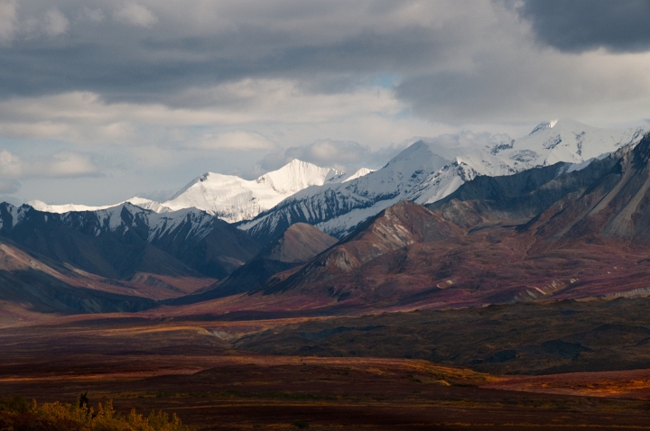 Muldrow Glacier 5234.jpg